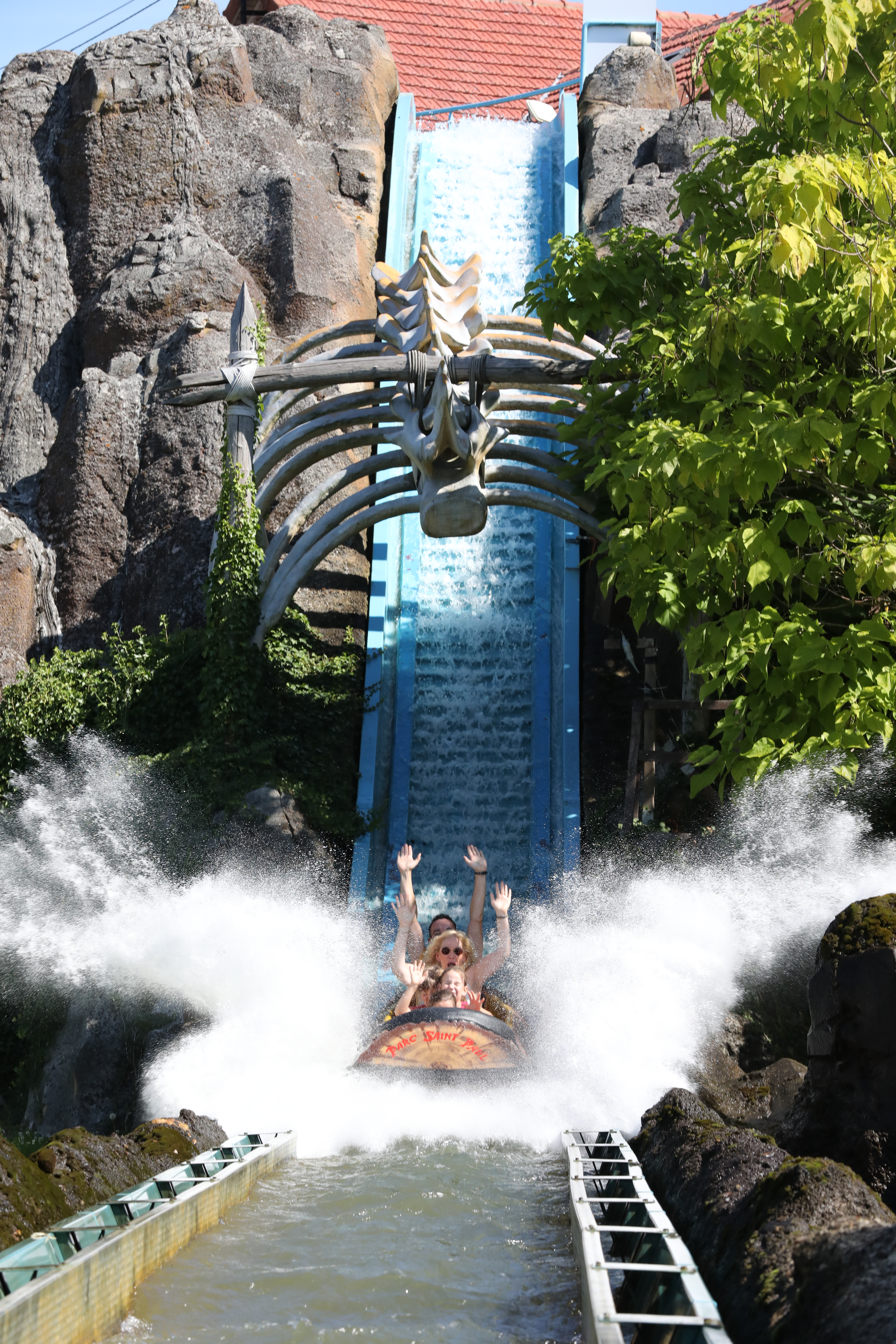 Dino Splash